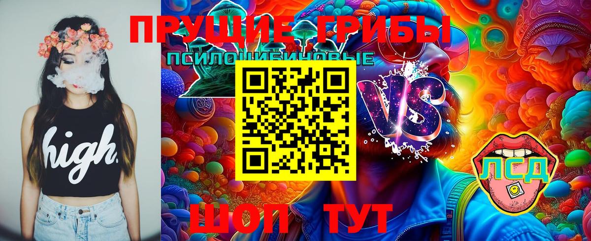 Галлюциногенные грибы Psilocybe Шахты